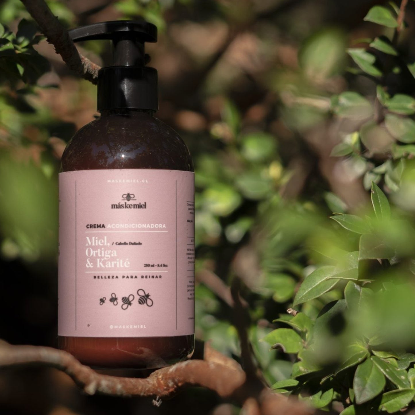 Cabello delicado-cabello seco