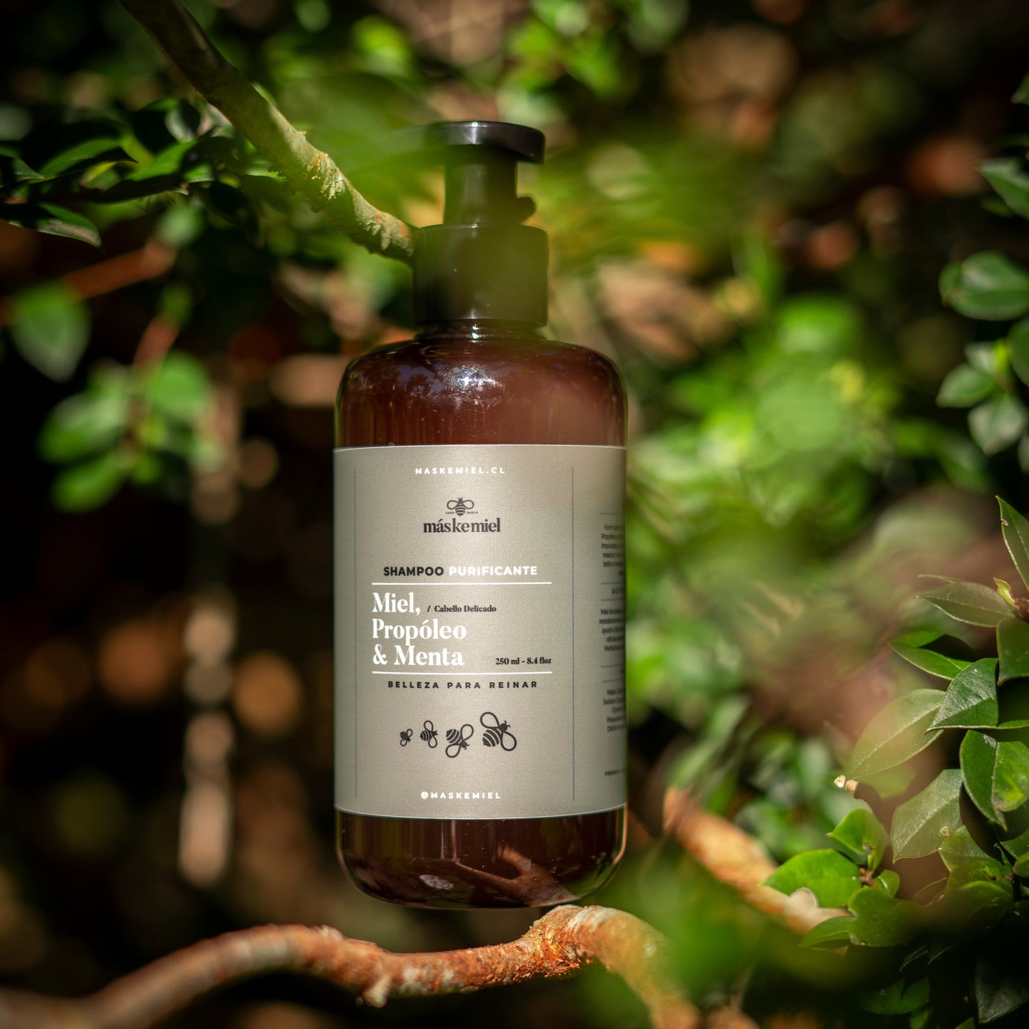 Shampoo Purificante Miel, Propóleo y Menta