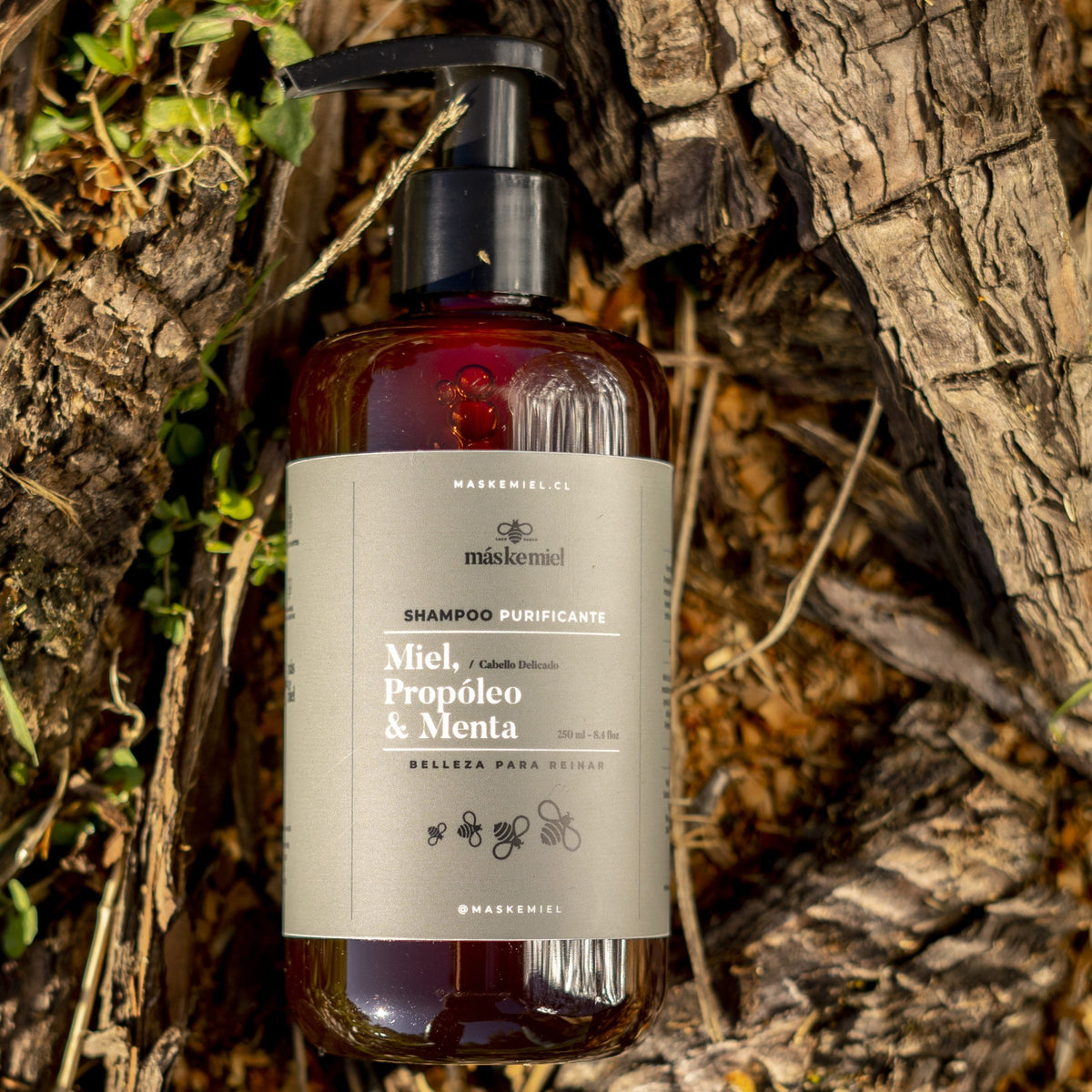 Shampoo Purificante Miel, Propóleo y Menta